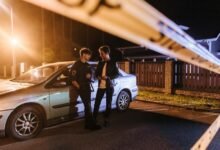 fraud detection activity verification