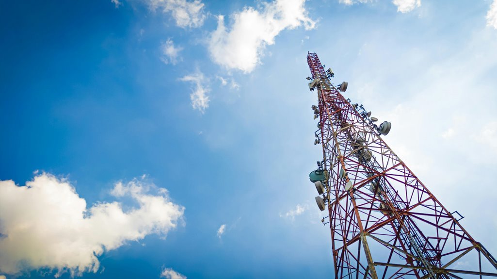 telecommunication risk investigation oversight