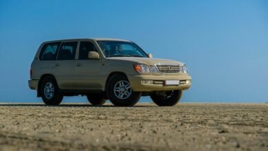 stable online model 22344315