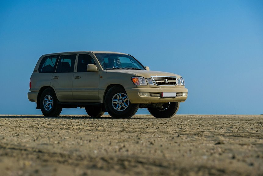 stable online model 22344315