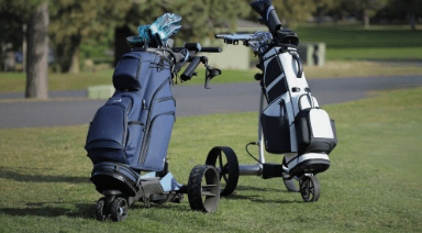 How to Choose the Perfect Electric Golf Cart